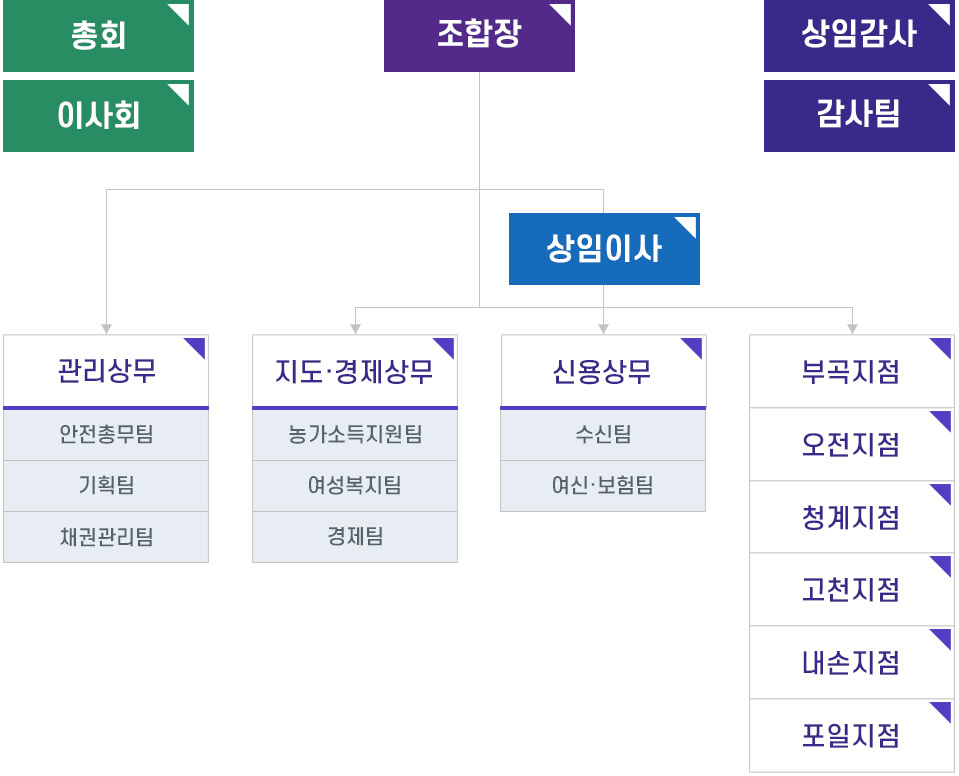 조직도